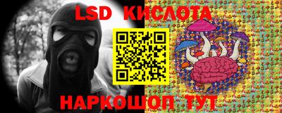 ПСИЛОЦИБИНОВЫЕ ГРИБЫ Будённовск