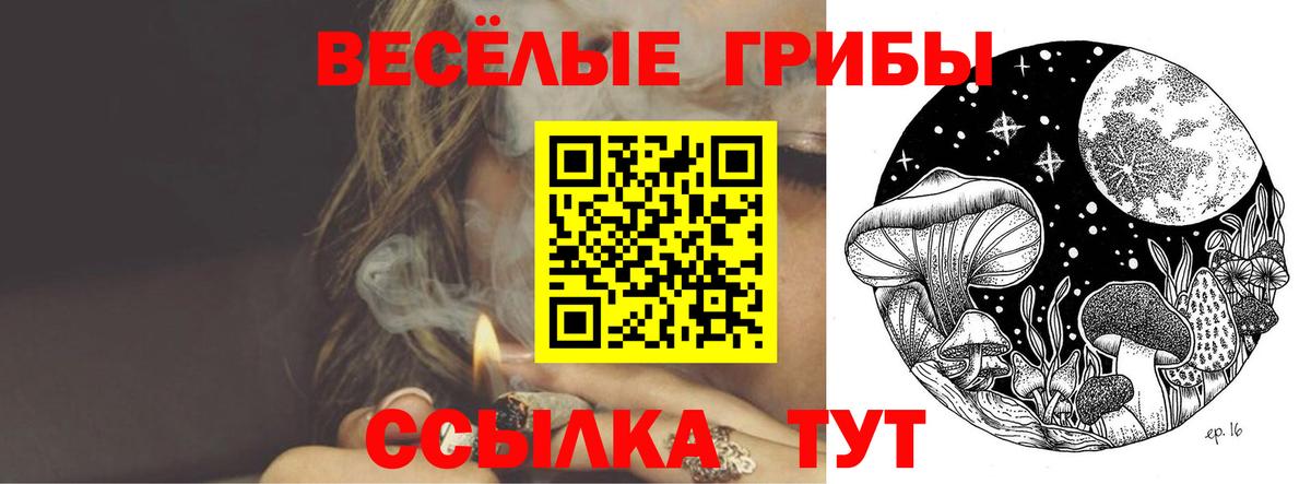 купить наркотик  Галлюциногенные грибы Cubensis  Псилоцибиновые грибы Cubensis  Вход с VPN  Среднеуральск 