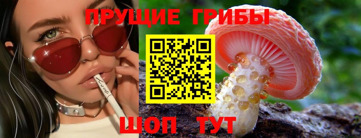 Псилоцибиновые грибы GOLDEN TEACHER Среднеуральск
